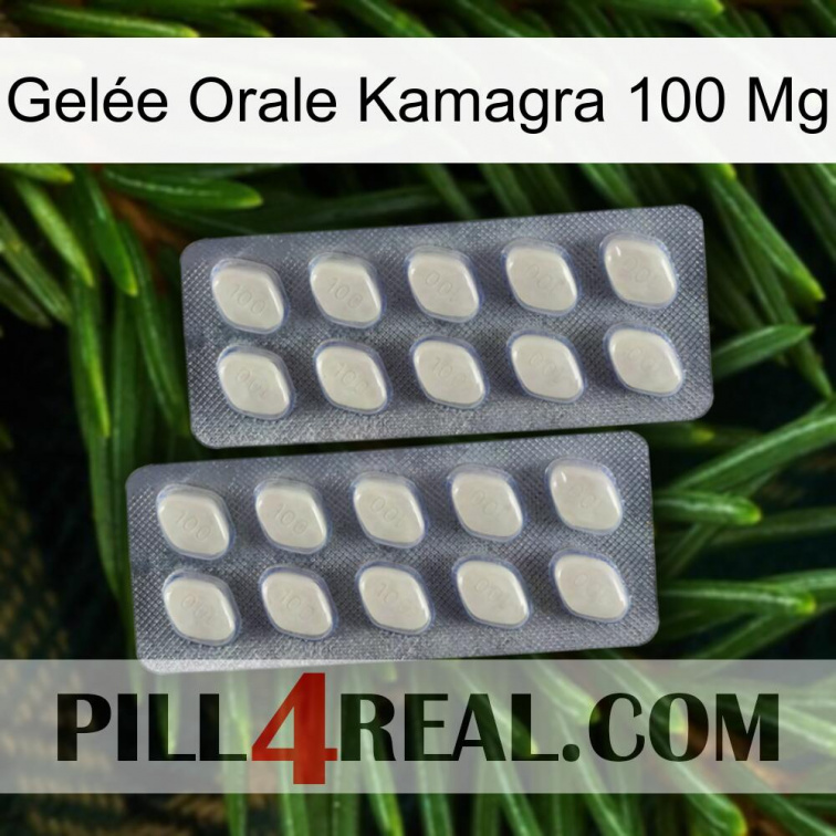 Gelée Orale Kamagra 100 Mg 07